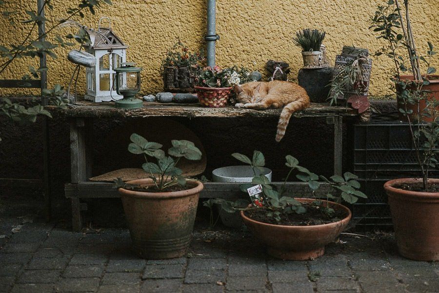 Landhochzeit Bei Riesa - hochzeit leipzig sachsen twosoulsonestory 80 von 86