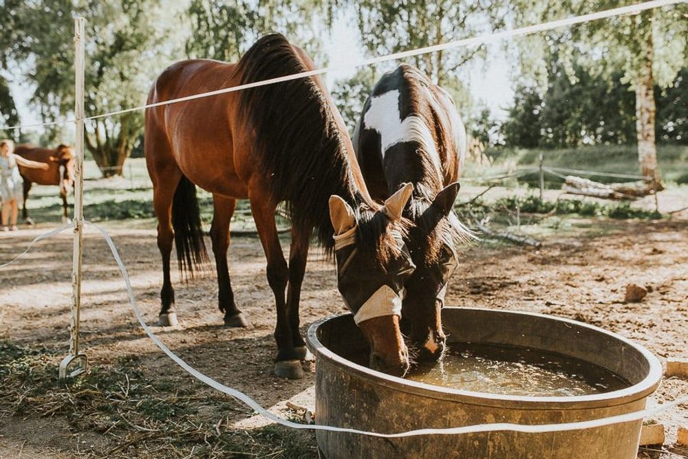 Landhochzeit Bei Riesa - hochzeit leipzig sachsen twosoulsonestory 52 von 86
