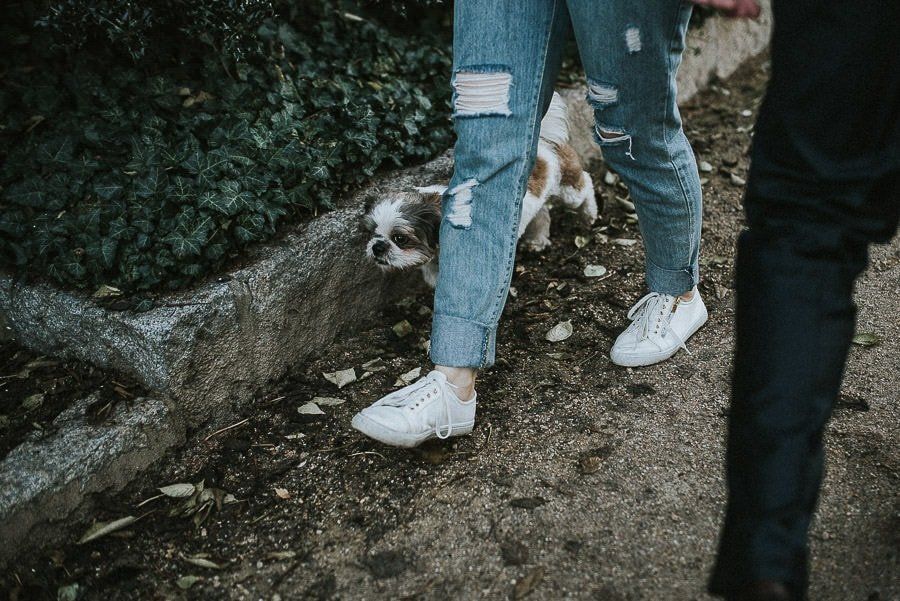 Hochzeit Im Rathaus Görlitz - hochzeit goerlitz hochzeitsfotograf tim schneider 57 von 68