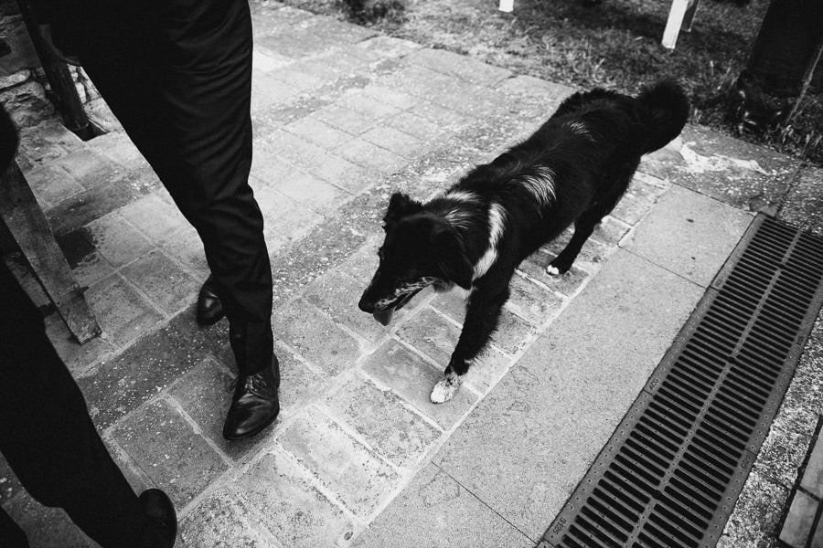 Hochzeit In Der Toskana - hochzeitsfotograf italien toskana arrezzo tuscany wedding planer free elopement hochzeit paar hochzeitsfotograf braut 00060