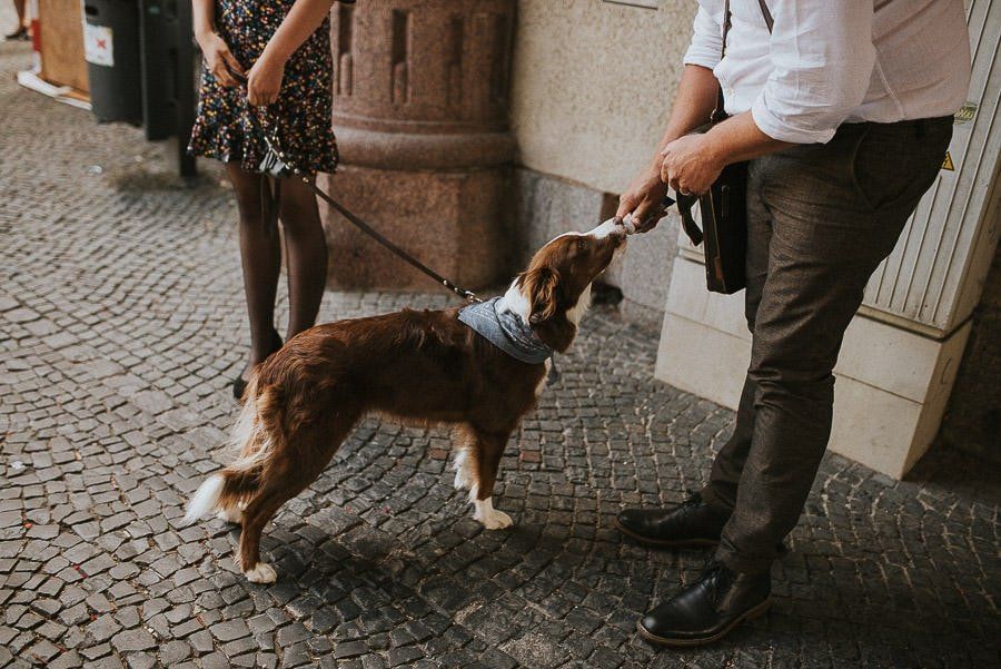 Vintage Hochzeit Elisa & Stephan - boho vintage hochzeit dresden hochzeitsfotograf tim schneider 27 von 95