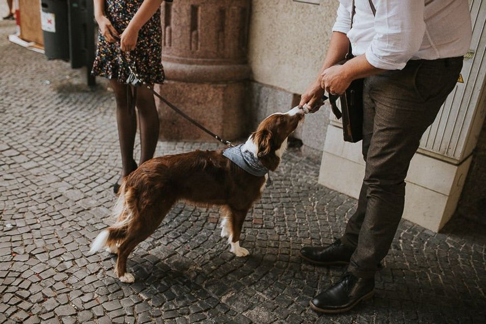 Vintage Hochzeit Elisa & Stephan - boho vintage hochzeit dresden hochzeitsfotograf tim schneider 27 von 95