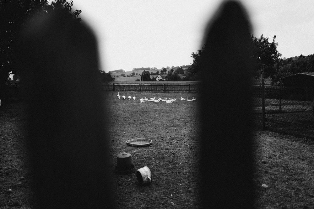 Vintage Hochzeit Bei Dresden - Vintage Hochzeit Sommer Zwickau Fotograf Wedding Weddingphotographer Tim Schneider 004