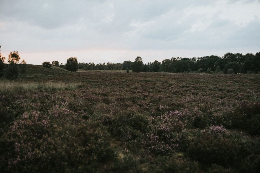 Paarshooting In Den Maasduinen - Paarshooting Niederlande Westdeutschland 00058