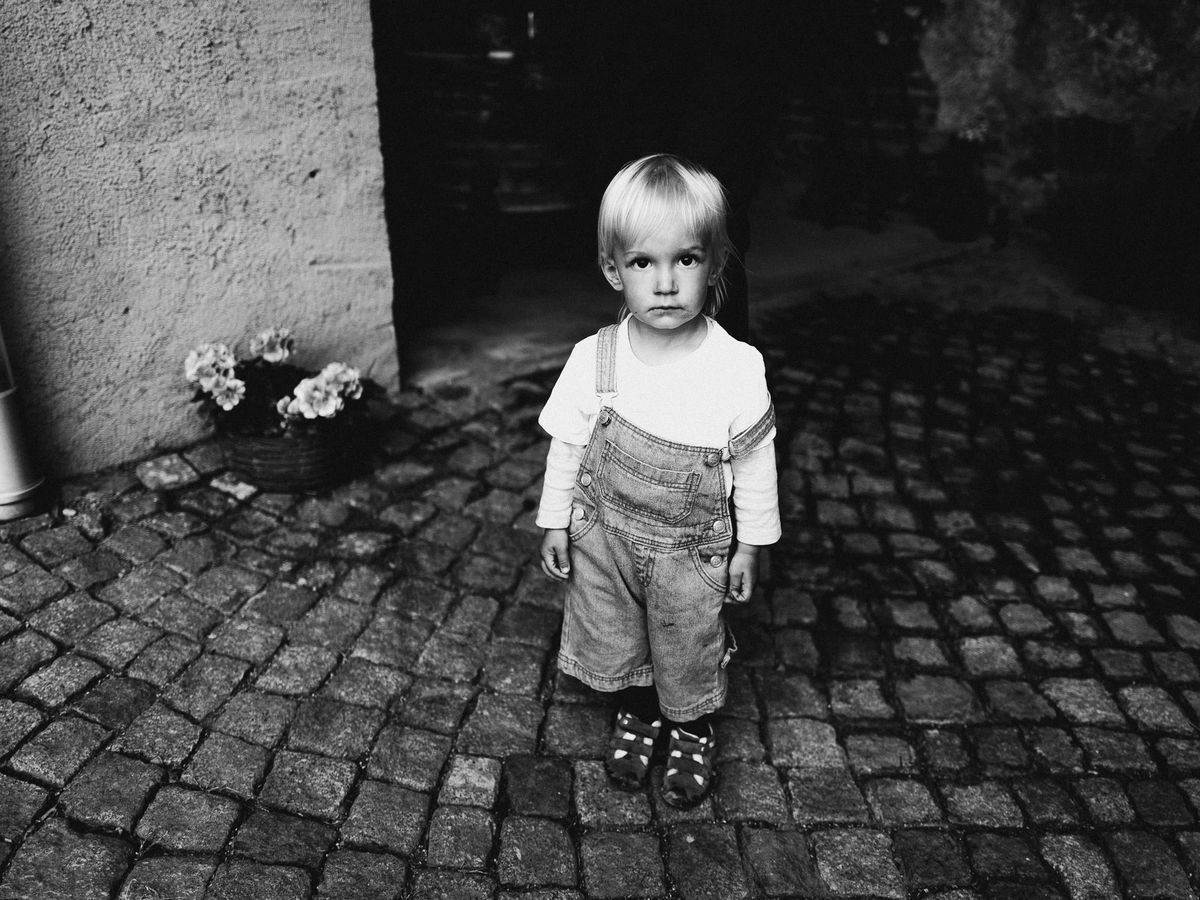 Herbsthochzeit in Dresden: Goldene Blätter & warme Farben – Hochzeitsfotograf Tim Schneider