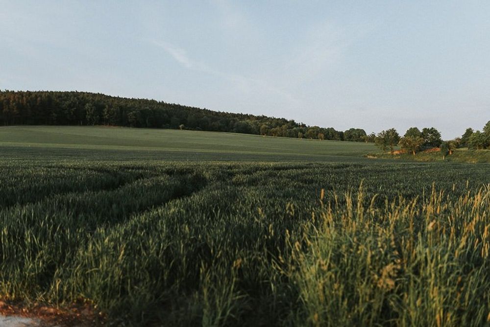 Boho Hochzeit Bautzen - hochzeitsfotograf bautzen hochzeitsfotograf tim schneider dresden leipzig sachsen vintage hochzeit oberlausitz 93