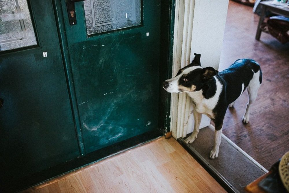 Landhochzeit Bei Riesa - hochzeit leipzig sachsen twosoulsonestory 11 von 86