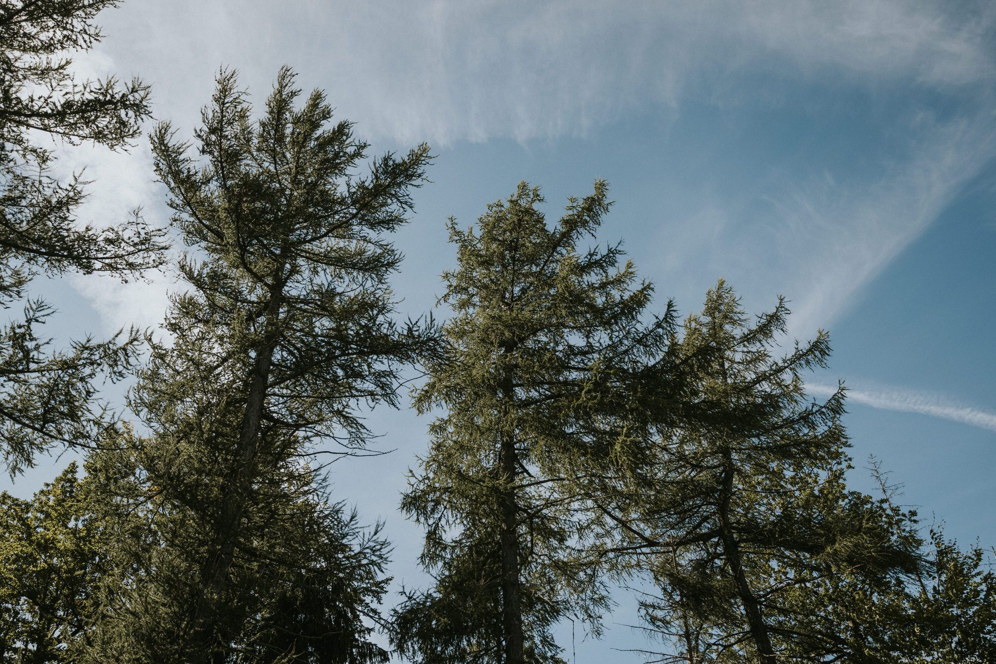 Brautpaarshooting Kiel: 7 Tipps für natürliche Hochzeitsfotos – Hochzeitsfotograf Tim Schneider