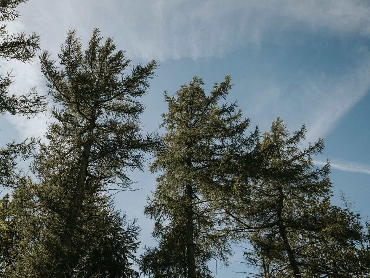 Brautpaarshooting Kiel: 7 Tipps für natürliche Hochzeitsfotos – Hochzeitsfotograf Tim Schneider