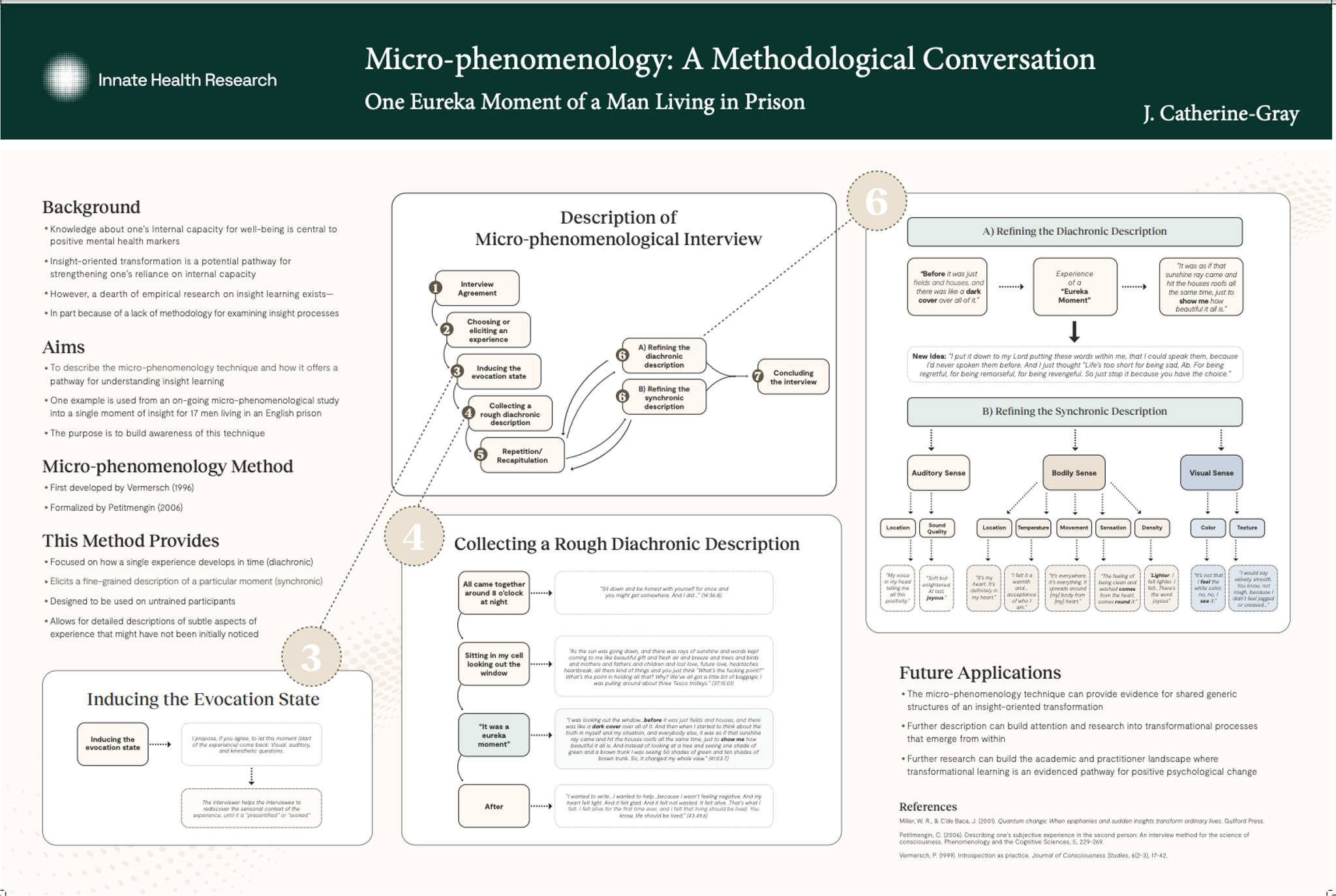 micro-phenomenology poster infographic