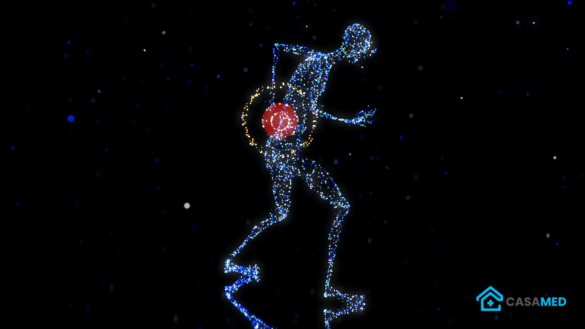 Preventing Back Pain : 7 Tips to Take Care of Your Back