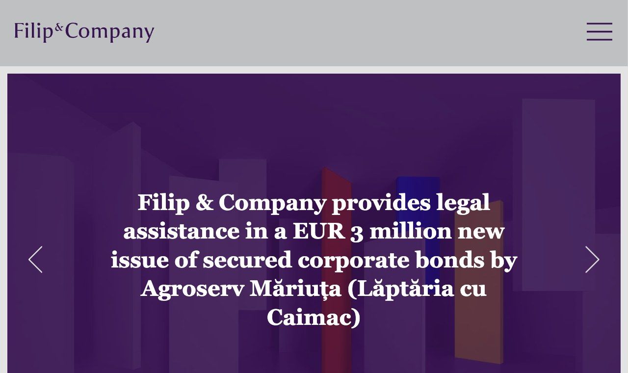 Pagina principală a site-ului Filip & Company — analiză de branding și experiență digitală