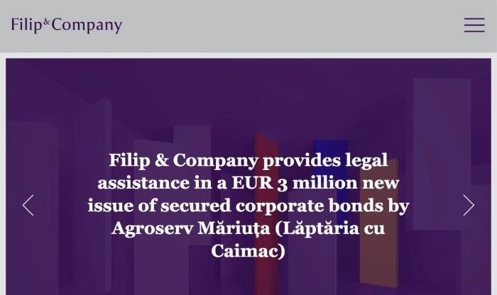 Filip & Company: când website-ul nu reflectă încă nivelul firmei