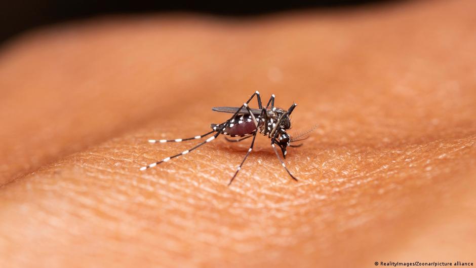 Malaria's Shifting Landscape: Africa's Climate Conundrum