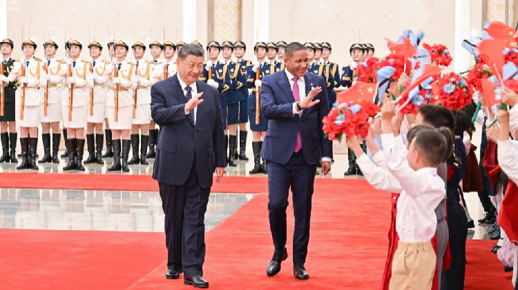 Diamonds, Data Centers and Solar Panels: Botswana’s New Deal with China