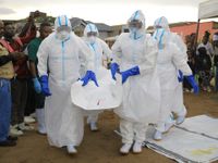 Congo's Unseen Epidemic: When Ebola Meets War and a People's Distrust