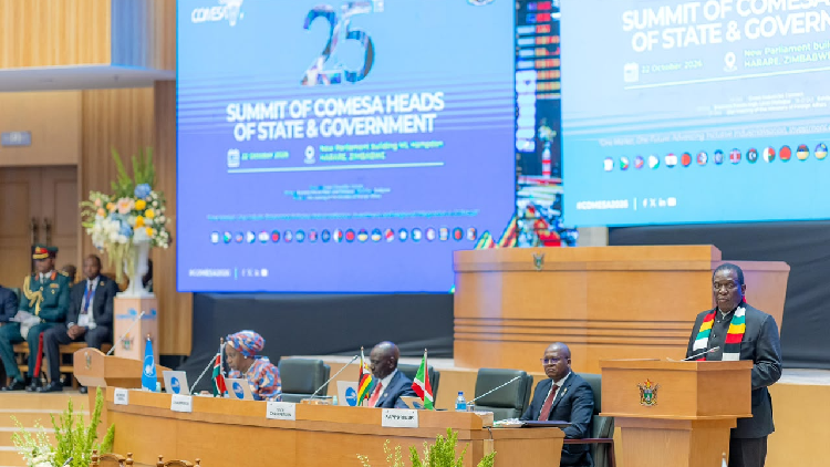 When African Leaders Push for a Trade Bloc That Could Change Farmers’ Futures