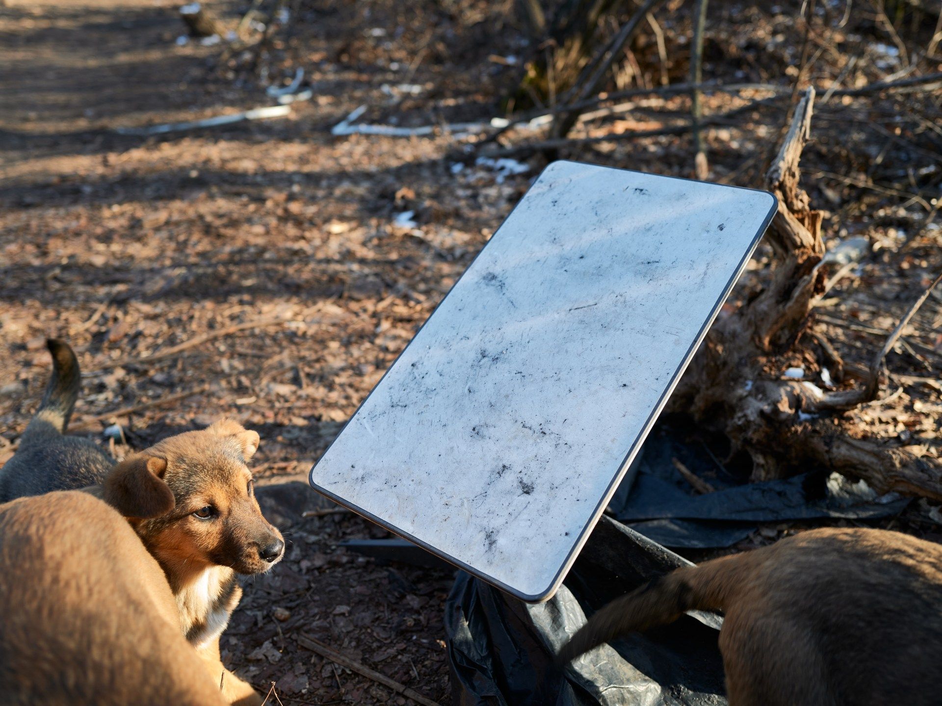 Two Turkish Men, a Burning Satellite Hub, and the Shadow War Over Ukraine’s Internet