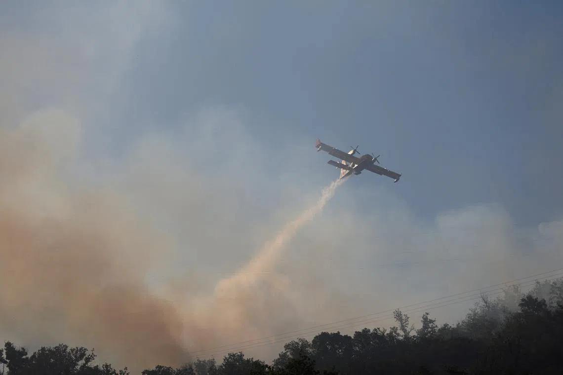 Cross-Border Wildfires in Western Europe Underscore Climate Vulnerability and Regional Response Challenges