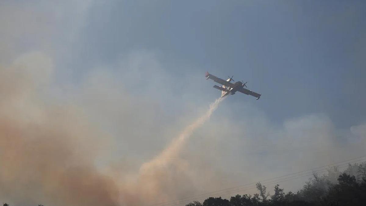 Cross-Border Wildfires in Western Europe Underscore Climate Vulnerability and Regional Response Challenges