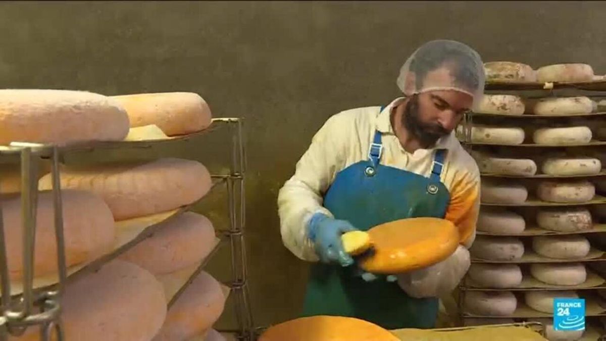 The Cheese Makers' Dilemma: How Drought is Reshaping France's Rural Economy