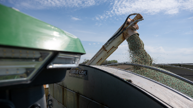 Heat, Conflict, and Profit: The Unseen Forces Behind Rising Food Prices
