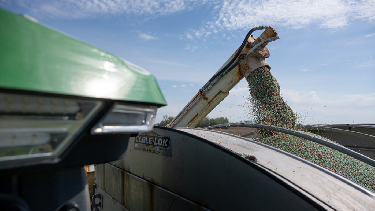 Heat, Conflict, and Profit: The Unseen Forces Behind Rising Food Prices