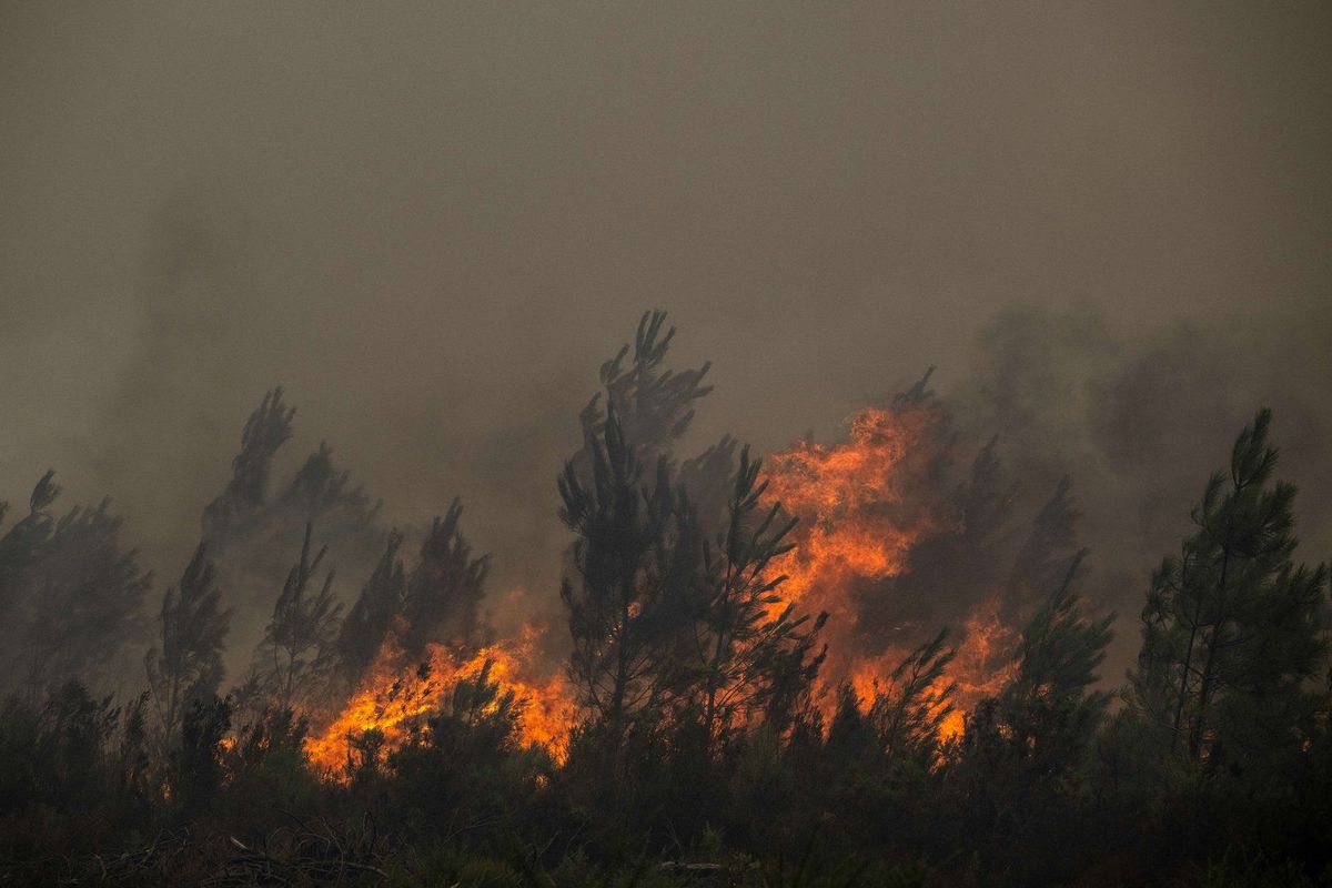 French Wildfires Expose Regional Vulnerabilities and Climate Concerns