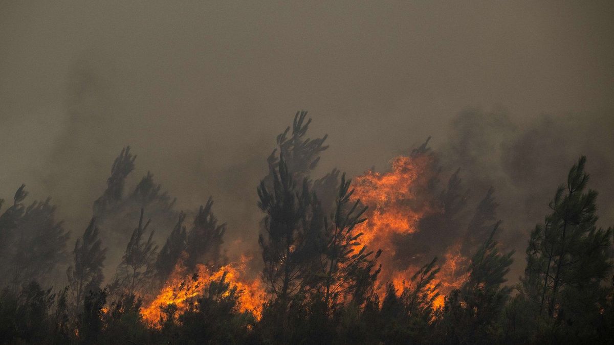 French Wildfires Expose Regional Vulnerabilities and Climate Concerns