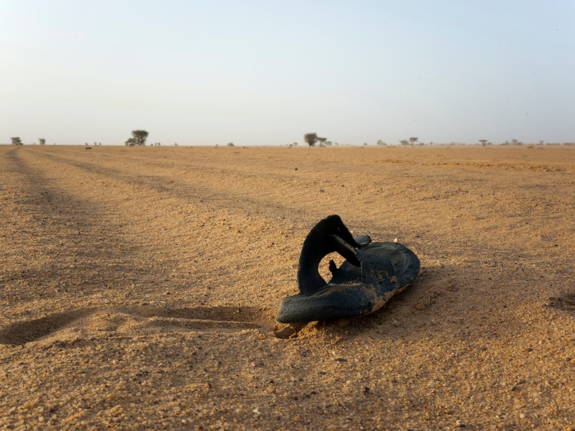 Niger Desert Tragedy: A Harsh Reminder of Regional Instability and Humanitarian Challenges