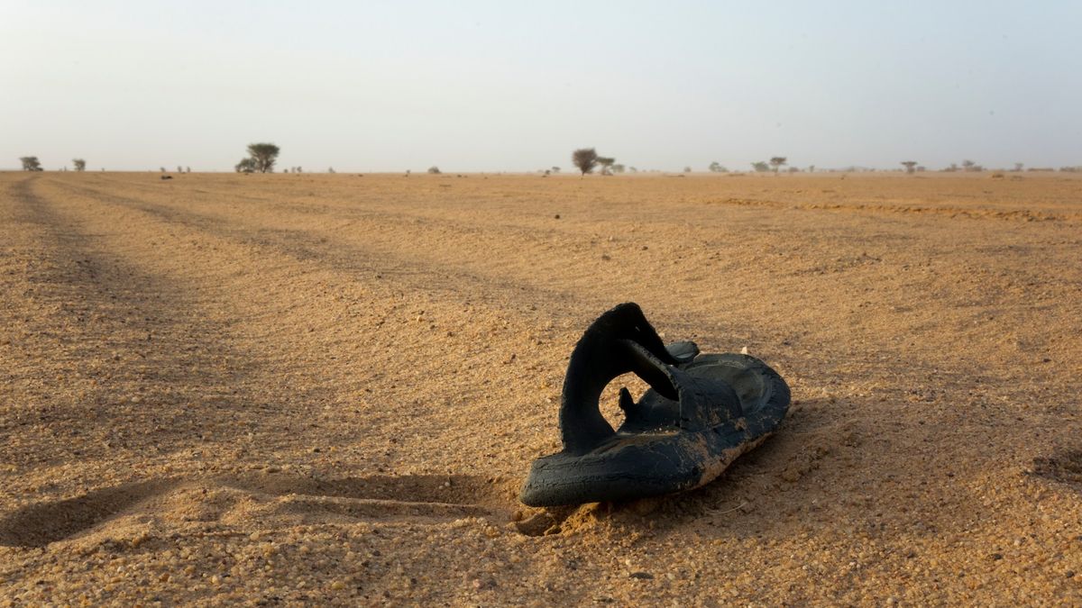 Niger Desert Tragedy: A Harsh Reminder of Regional Instability and Humanitarian Challenges