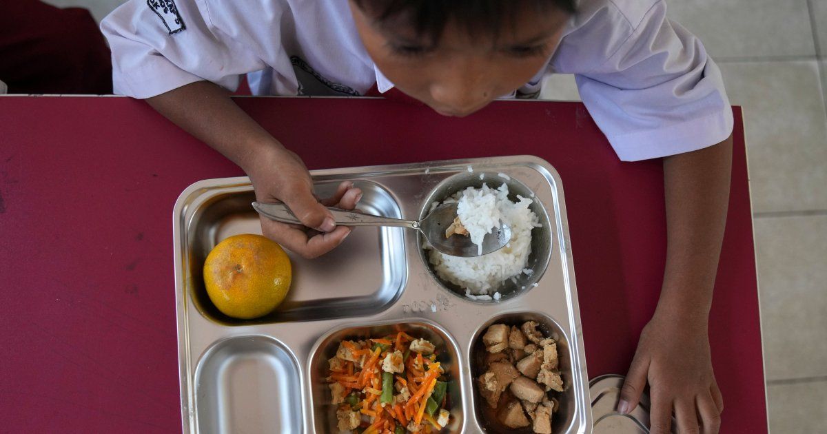 Indonesia's Free Meals Programme: A Complex Web of Corruption and Mismanagement