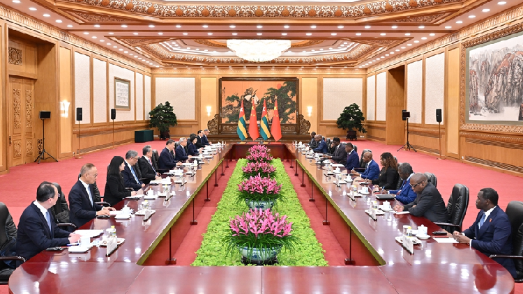 Africa's Unrest: Beijing's Blueprint for Stability, or a New Scramble for Influence?