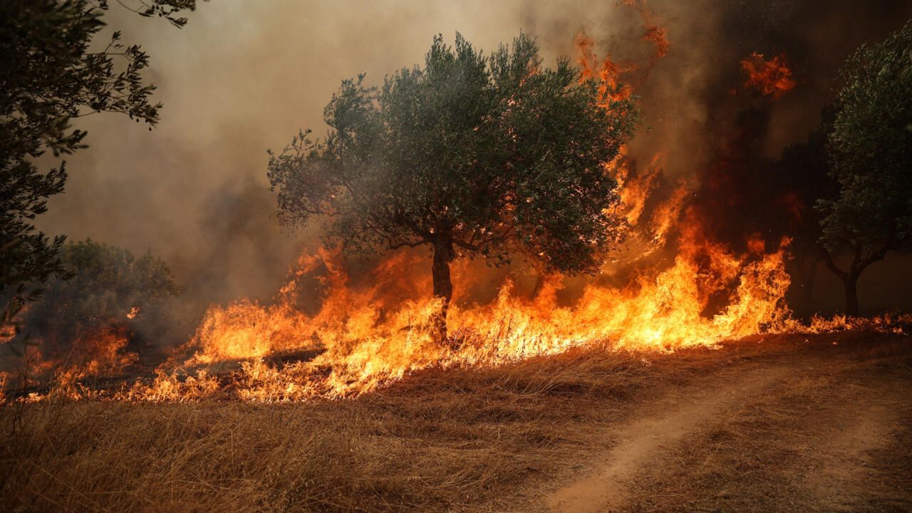 Europe's Inferno: The Unseen Consequences of a Warming Continent