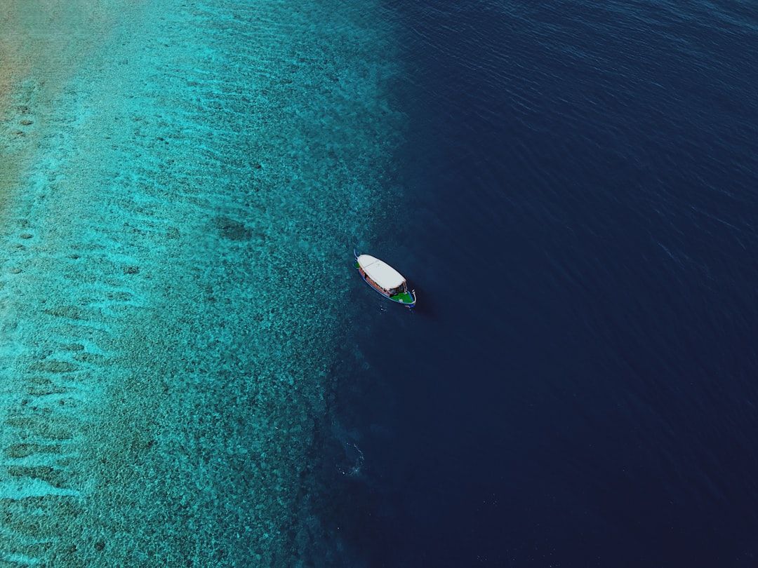 Maldives Diving Tragedy: International Research Mission Ends in Fatalities, Raises Safety Questions
