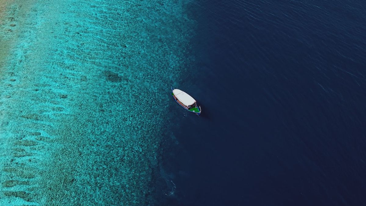 Maldives Diving Tragedy: International Research Mission Ends in Fatalities, Raises Safety Questions