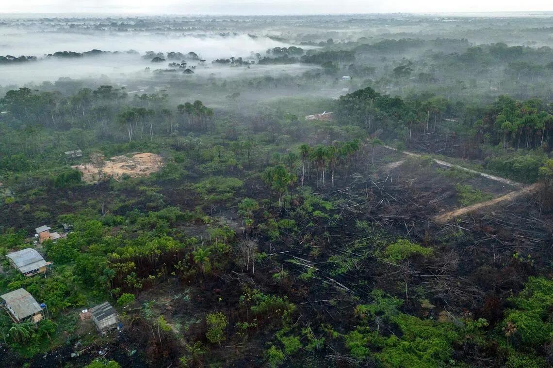 Brazil's Amazon Fires Plummet to Historic Low, But Climate Risks Persist