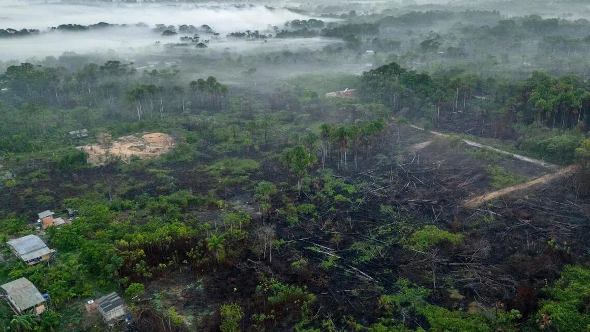 Brazil's Amazon Fires Plummet to Historic Low, But Climate Risks Persist