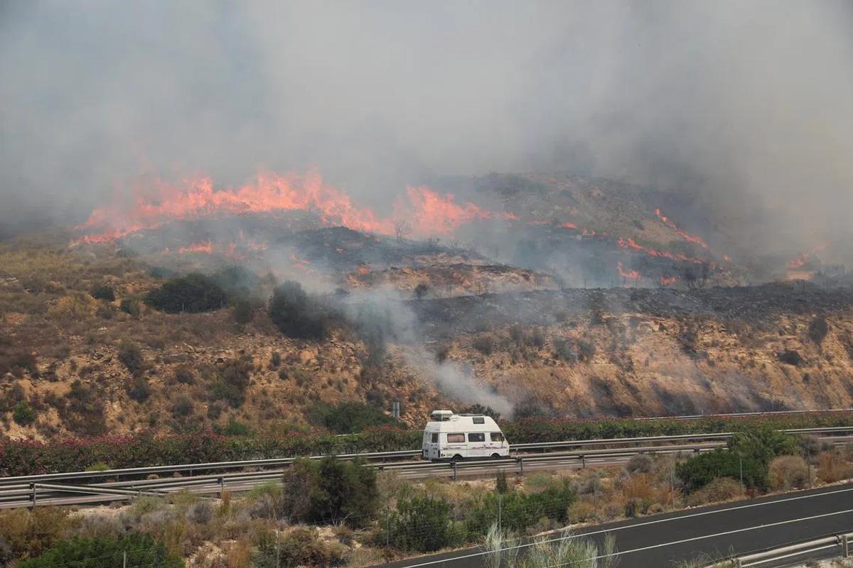Deadly Wildfires in Southern Spain Expose Critical Gaps in Disaster Response and Climate Adaptation