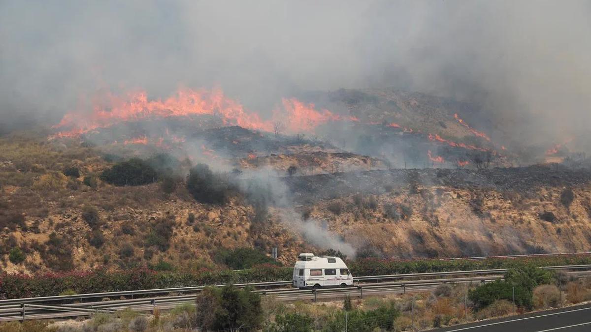 Deadly Wildfires in Southern Spain Expose Critical Gaps in Disaster Response and Climate Adaptation