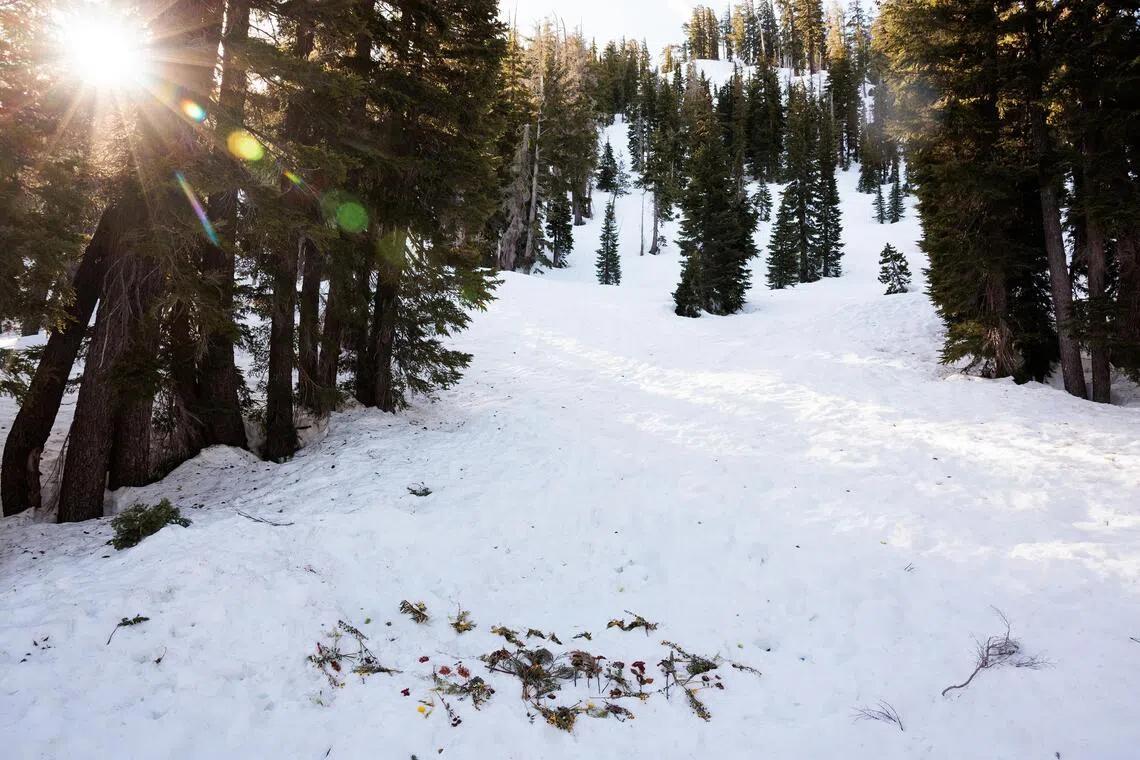 The Avalanche Buried Nine. The Report Buried the Questions.