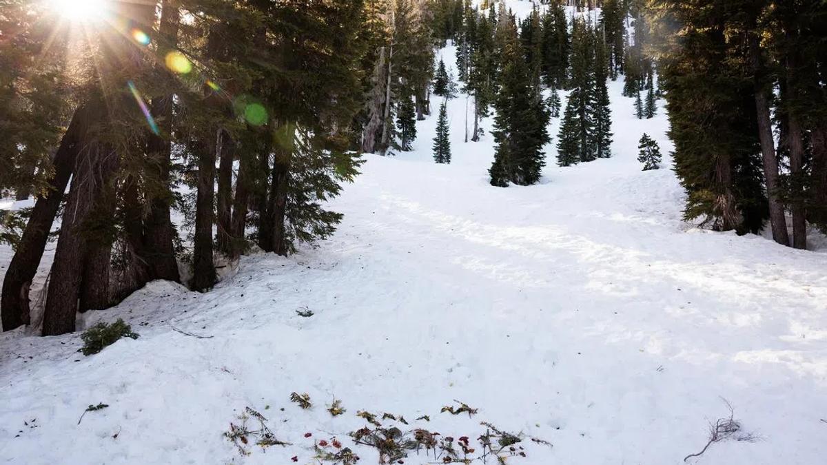 The Avalanche Buried Nine. The Report Buried the Questions.
