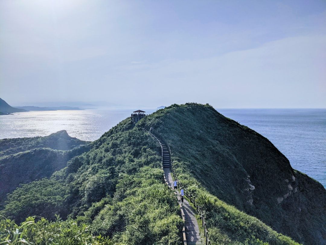 Taiwan's AI Boom: A Double-Edged Sword for Economic Growth