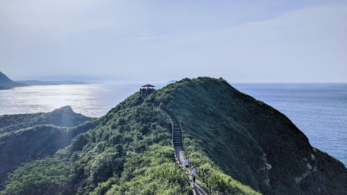 Taiwan's AI Boom: A Double-Edged Sword for Economic Growth