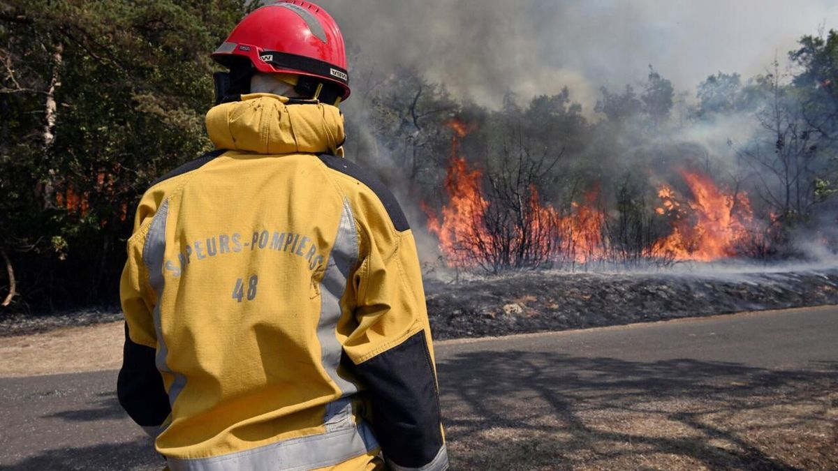 Inferno in the South: The Human Cost of France's Wildfire Crisis