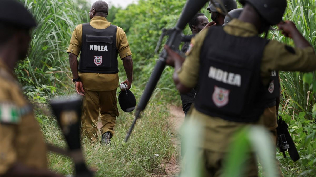 Northwest Nigeria Violence Escalates: Strategic Implications and Regional Concerns
