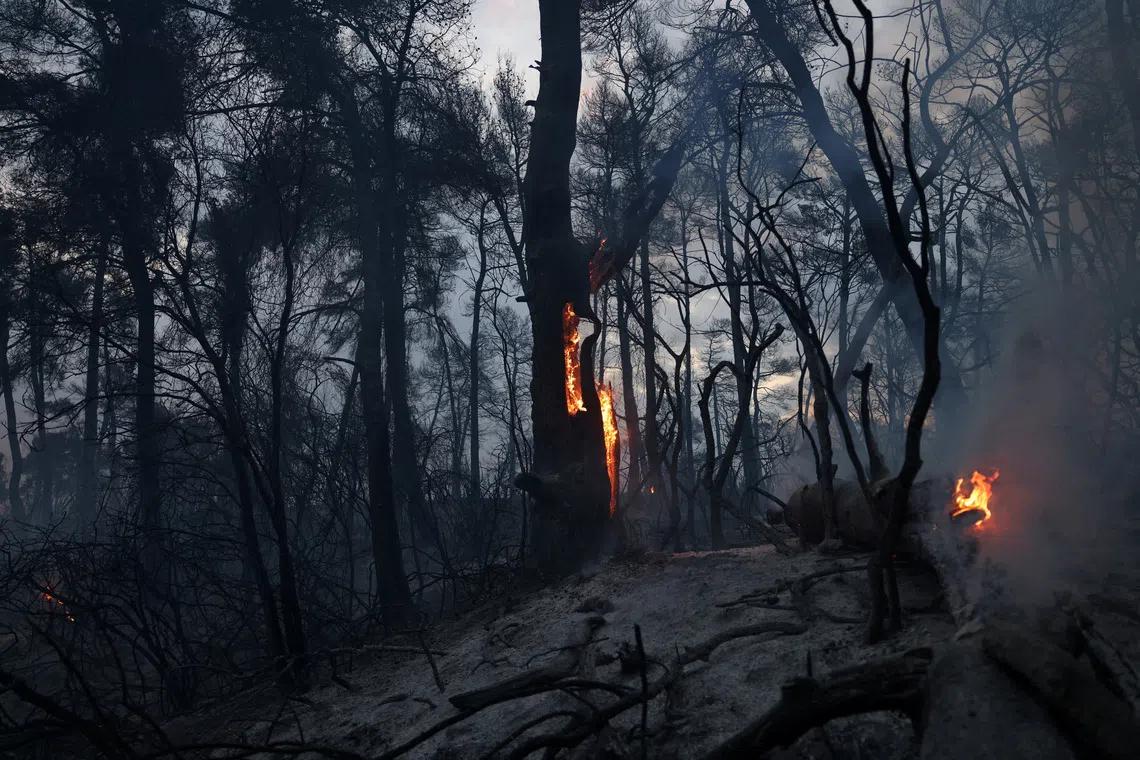 Greece's Burning Summer: The Unseen Consequences of Climate Change