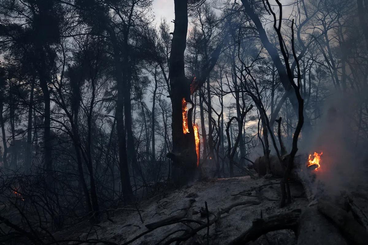 Greece's Burning Summer: The Unseen Consequences of Climate Change