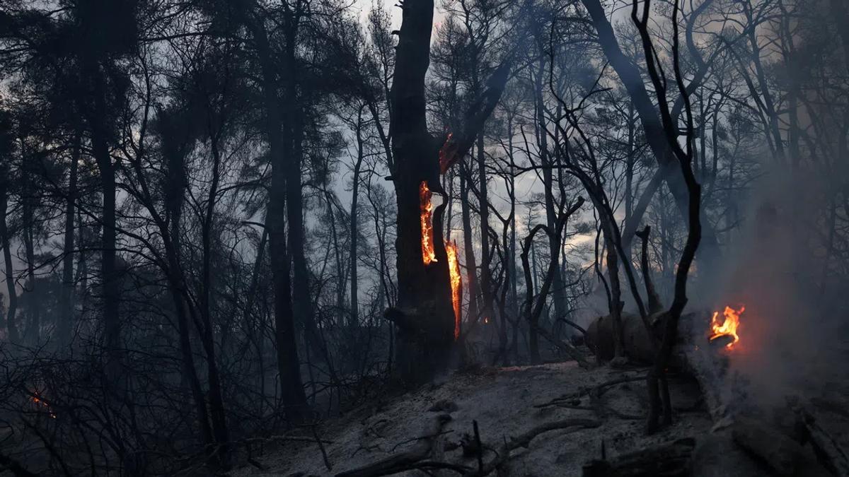 Greece's Burning Summer: The Unseen Consequences of Climate Change
