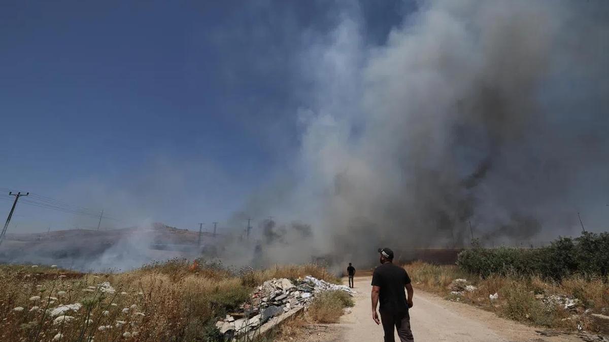 Escalating Settler Violence Threatens Palestinian Livelihoods and West Bank Stability